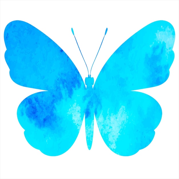 Silhouette Aquarelle Papillon Bleu Sur Fond Blanc