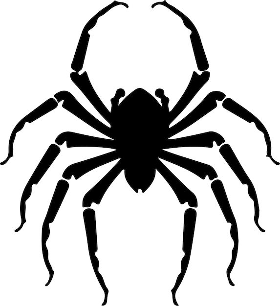 Silhouette d'un arachnide