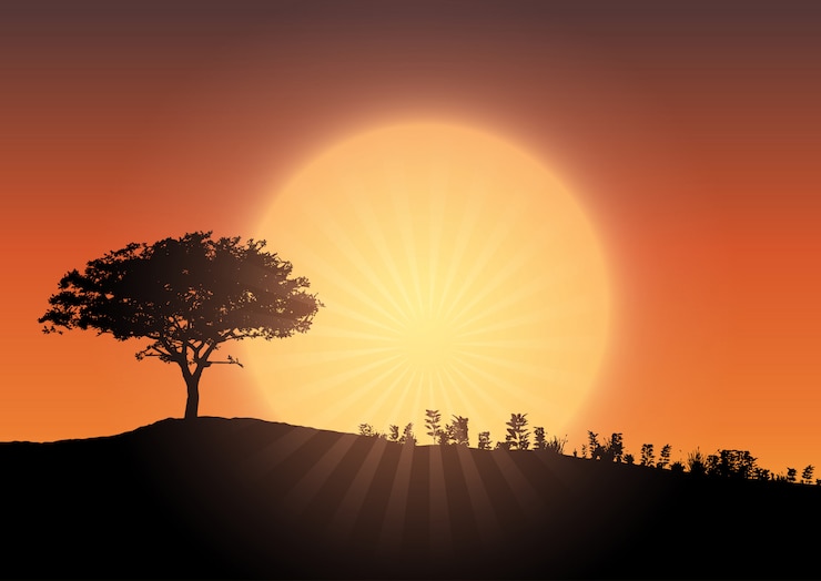 Vecteur silhouette d&#39;arbre contre ciel coucher de soleil