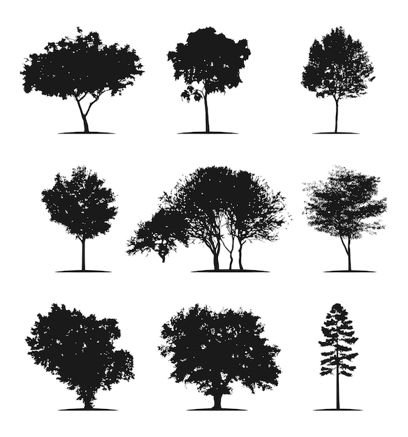 Vecteur silhouette d'arbre illustration d'arbre noir