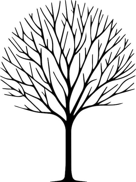 Vecteur silhouette d'arbre nu silhouette vectorielle minimale silhouette de couleur noire silhouette à fond blanc 24