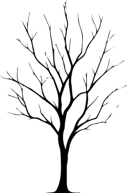 Vecteur silhouette d'arbre nu silhouette vectorielle minimale silhouette de couleur noire silhouette à fond blanc 2