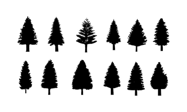 Silhouette d&#39;arbre de pin