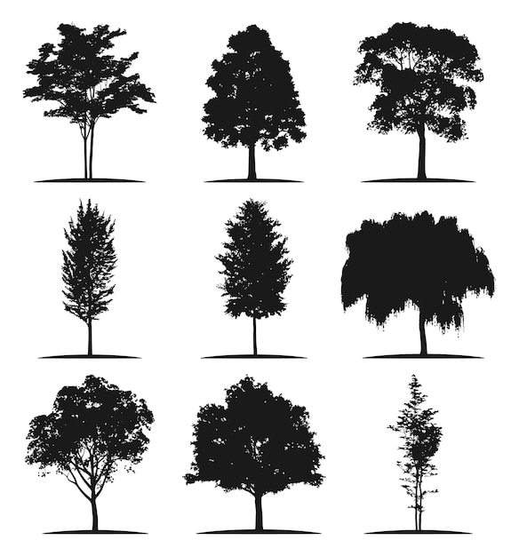 silhouette d'arbre vecteur illustration d'arbre