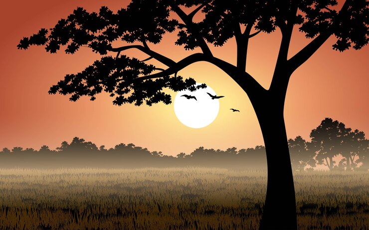 Vecteur silhouette d'arbres au coucher du soleil