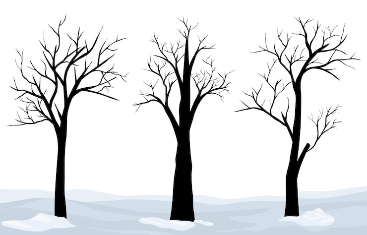 Vecteur silhouette d'arbres sans feuilles