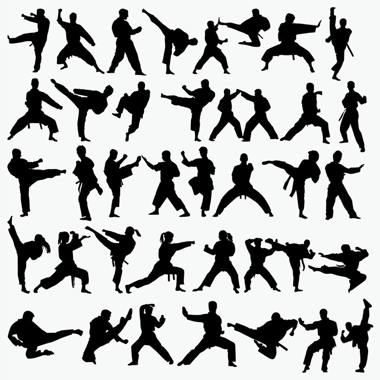 Vecteur silhouette d&#39;arts martiaux