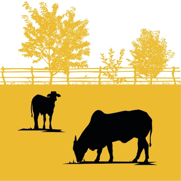 Vecteur silhouette de bétail nelore sur l'illustration de la ferme