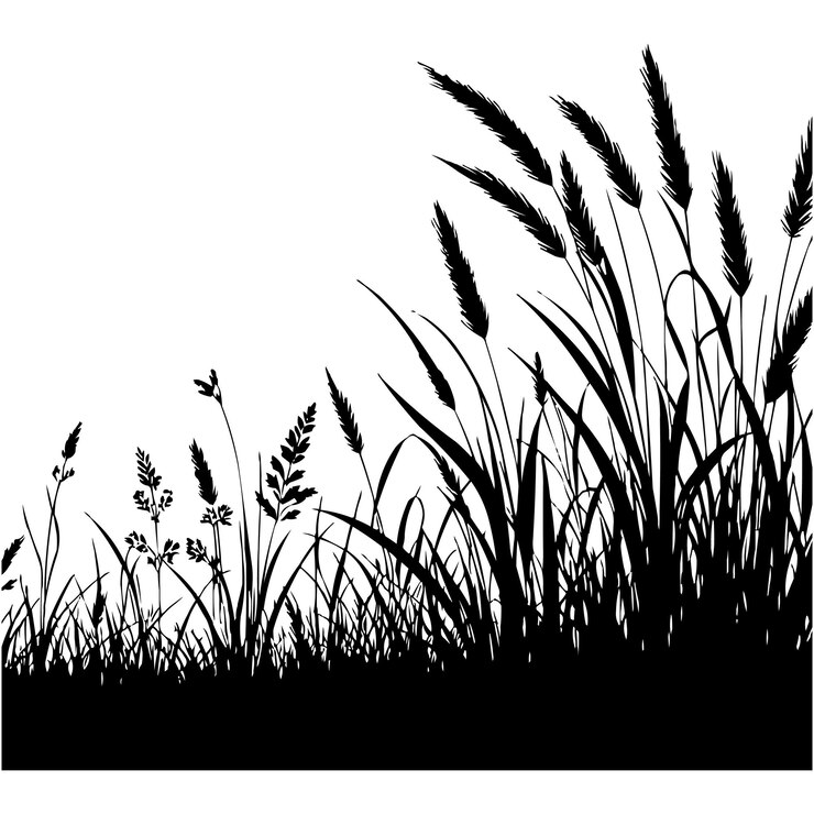 Vecteur silhouette de bordure d'herbe conception réaliste pour votre marque