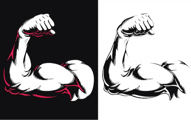 Vecteur silhouette bras biceps muscle flexion musculation gym fitness pose bouchent icône logo isolé illustration sur fond blanc