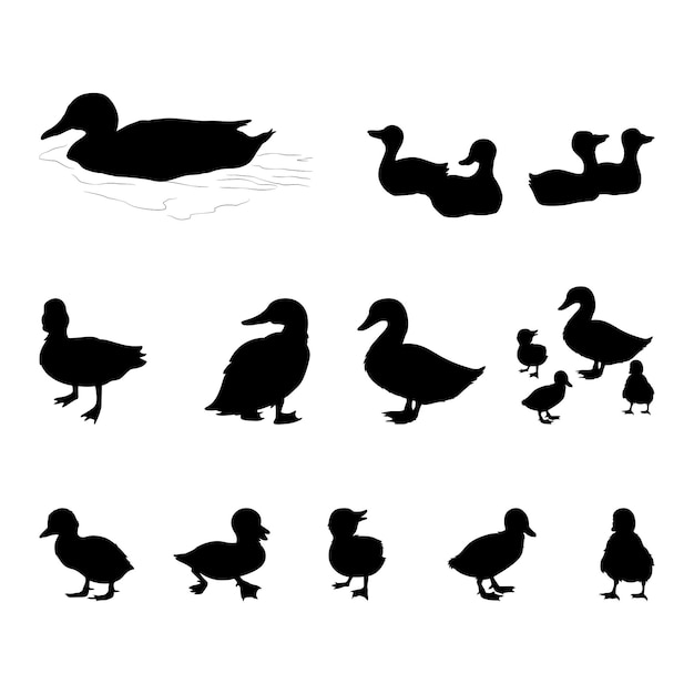 Vecteur silhouette de canard animal