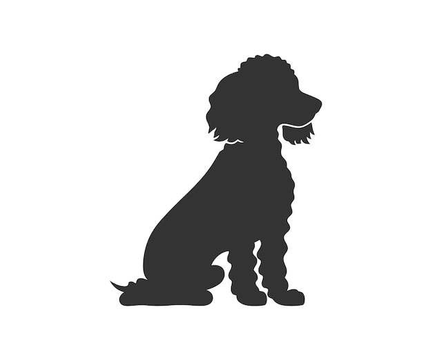 Silhouette de caniche miniature Conception d'illustration vectorielle