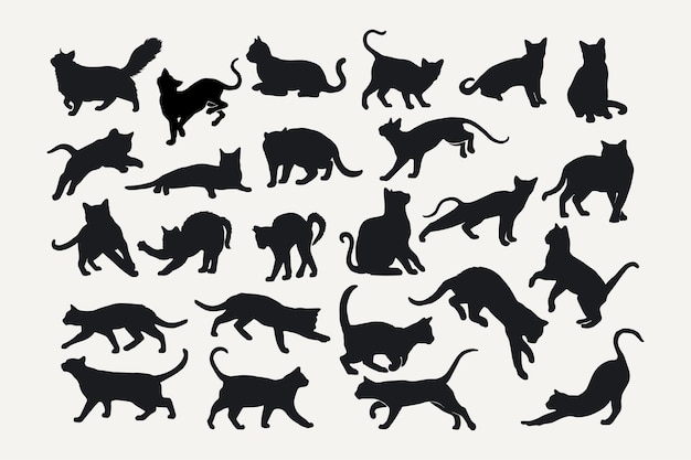 silhouette de chat scénographie vectorielle