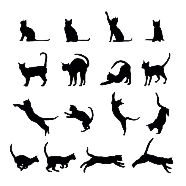 Silhouette de chat