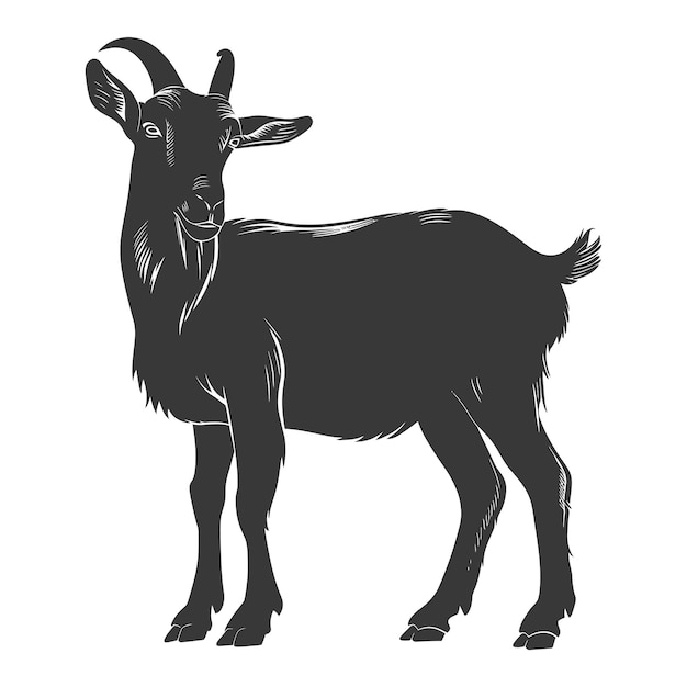Vecteur silhouette chèvre animal couleur noire seul corps entier