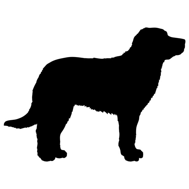 Silhouette de chien Aidi races de chien logo monogramme de chien vecteur