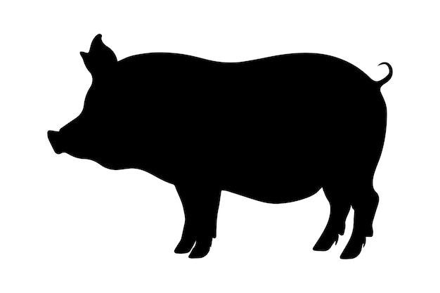 Silhouette de cochon isolé sur illustration vectorielle fond blanc