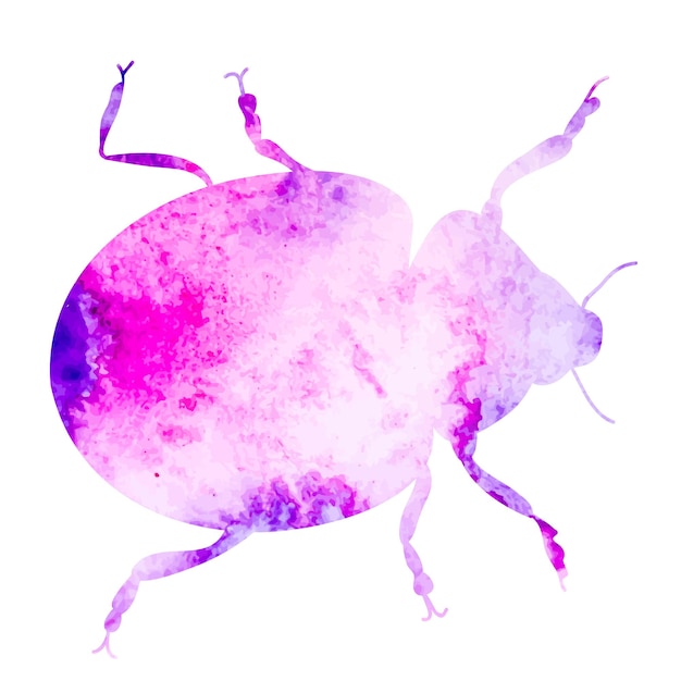 Vecteur silhouette de coléoptère aquarelle isolé