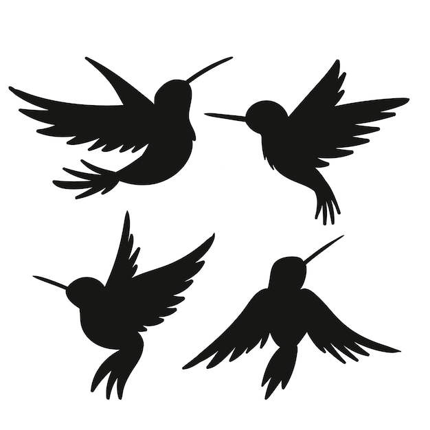 Vecteur silhouette de colibri dessiné à la main