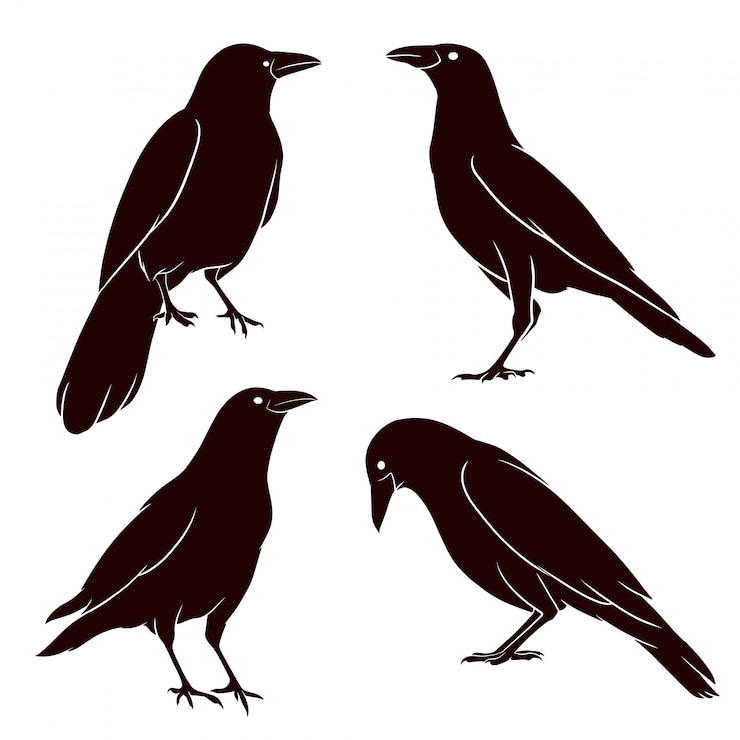 Vecteur silhouette de corbeau dessinée à la main