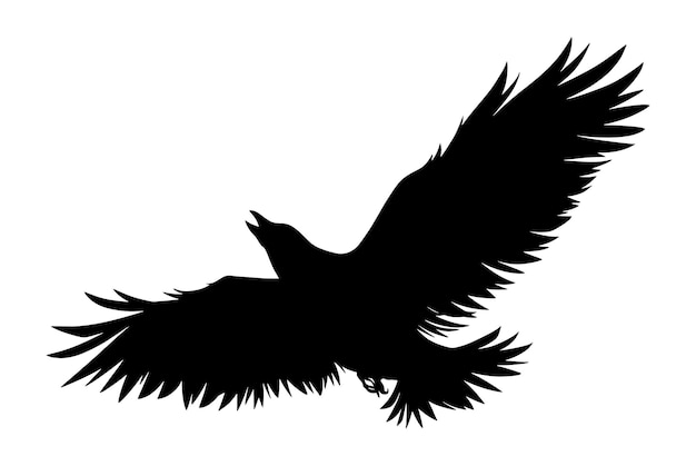 Vecteur silhouette de corbeau volant