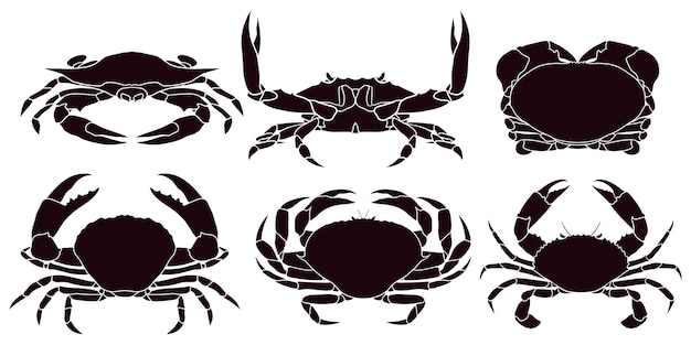 Silhouette Dessinée De Crabe à La Main