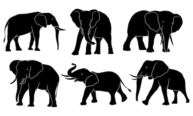 Vecteur silhouette dessinée d'éléphant à la main