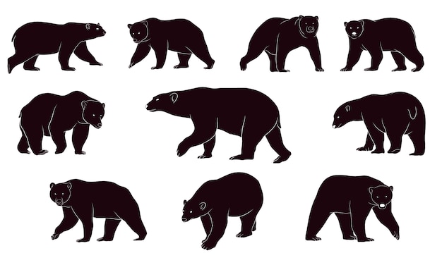 Vecteur silhouette dessinée d'ours