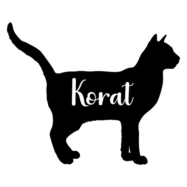 Vecteur la silhouette du chat korat est le vecteur du monogramme du logo du chat.