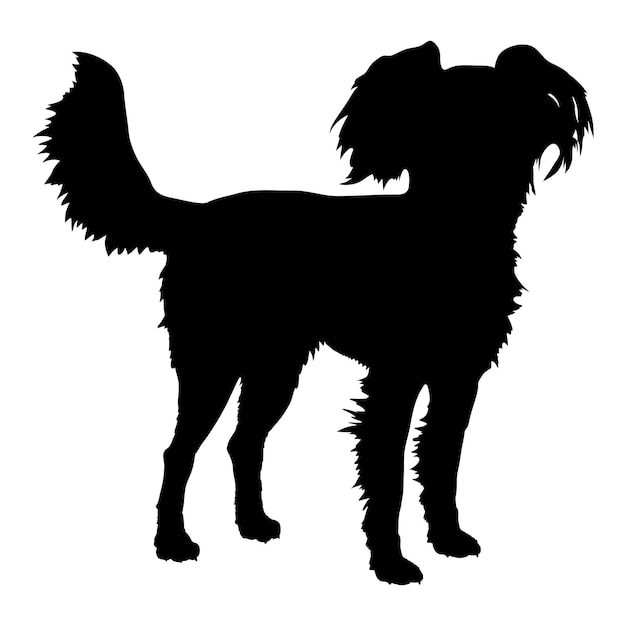 Vecteur la silhouette du chien, le chien, le russian toy terrier, les races, le logo, le monogramme, le vecteur du logo.