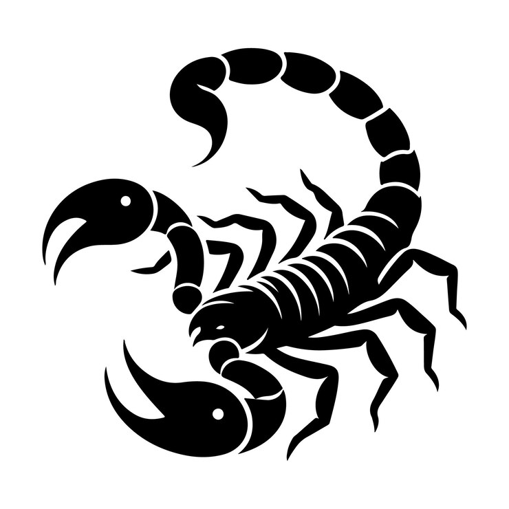 Vecteur silhouette du vecteur du scorpion
