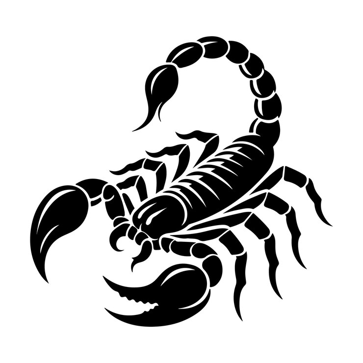 Vecteur silhouette du vecteur du scorpion