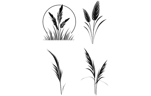 Vecteur silhouette du vecteur de l'herbe de pampas