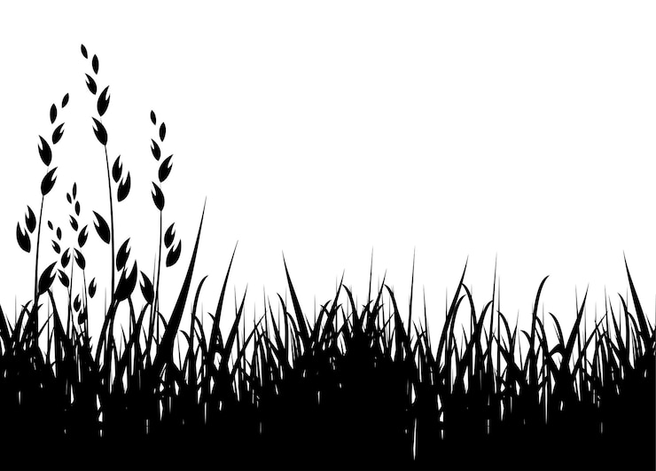 Vecteur silhouette du vecteur de l'herbe