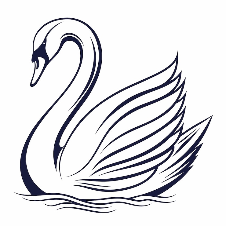 Vecteur une silhouette élégante de cygne noir et blanc