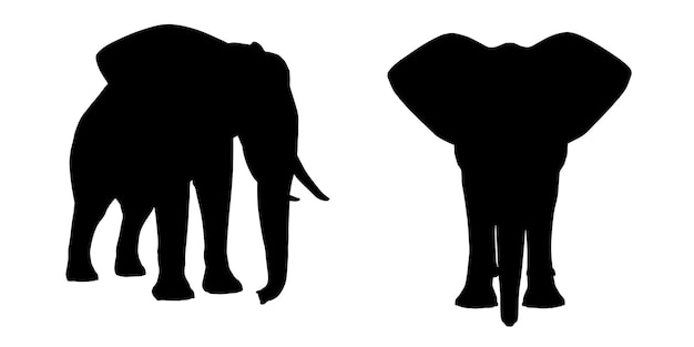 Vecteur la silhouette de l'éléphant