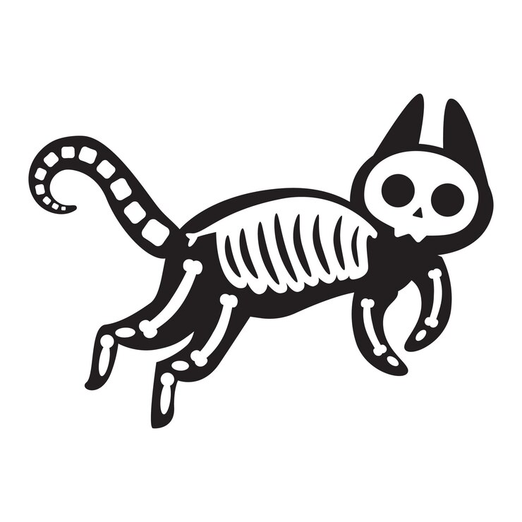 Silhouette d'un énorme chat à la radiographie Squelette d'os