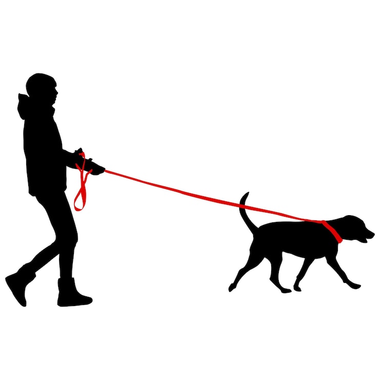 Vecteur silhouette de femme et chien sur fond blanc