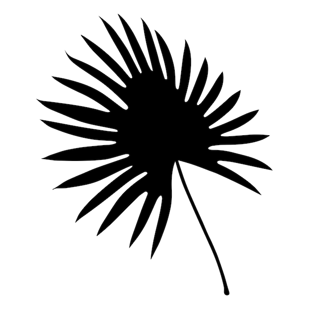 Silhouette de feuille de palmier tropical Illustration vectorielle