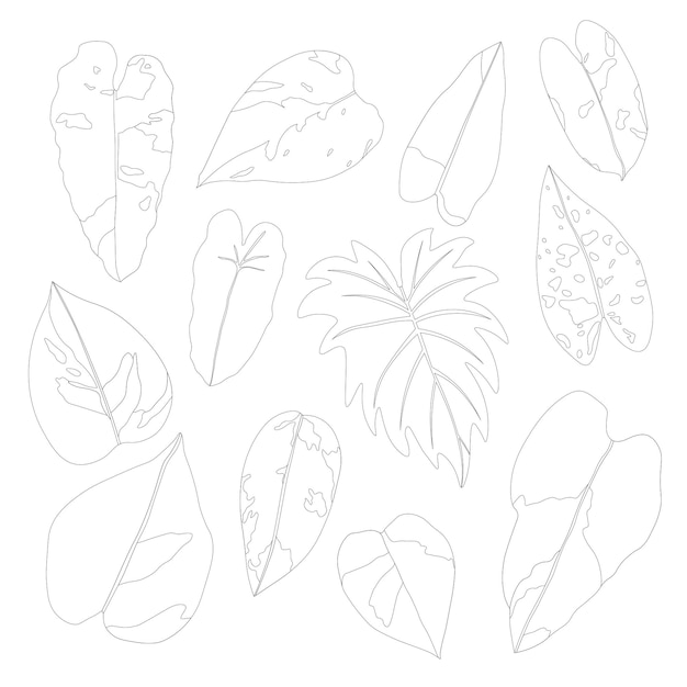 Vecteur silhouette de feuilles de philodendron éléments de coloration de la plante sur un fond blanc set d'impression