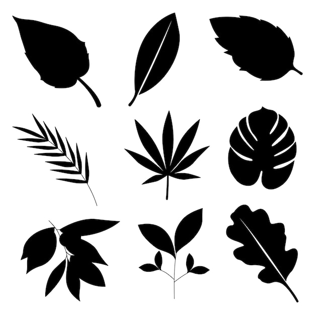 Vecteur silhouette de feuilles silhouettes de feuilles illustration vectorielle