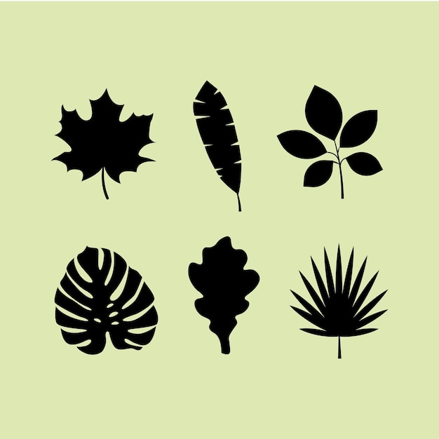 Silhouette de feuilles