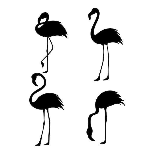 Vecteur silhouette de flamant rose dessiné à la main