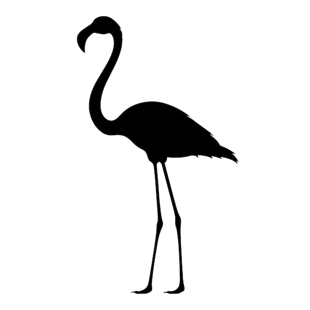 Silhouette de flamant rose isolée Illustration vectorielle