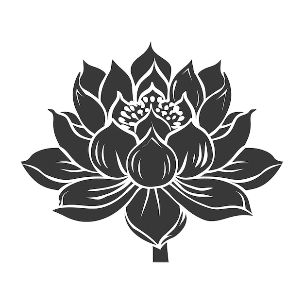 Vecteur silhouette fleur de lotus couleur noire seulement