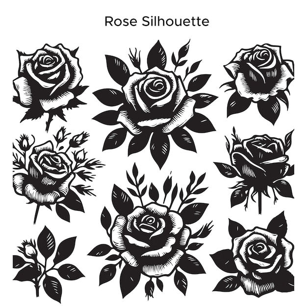 Vecteur silhouette de fleur de rose dessinée à la main par vecteur libre sur fond blanc