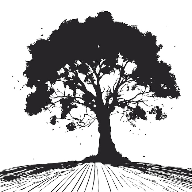 Vecteur silhouette d'un grand arbre en été sur un fond blanc isolé