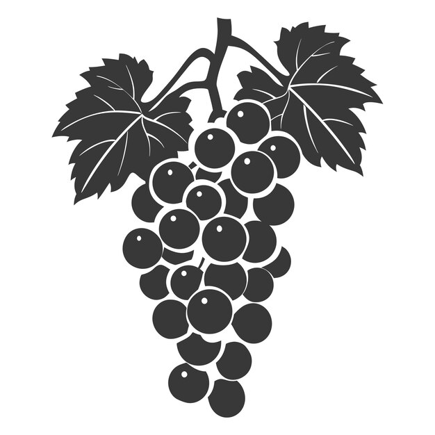 Vecteur silhouette grape fruit couleur noire seulement