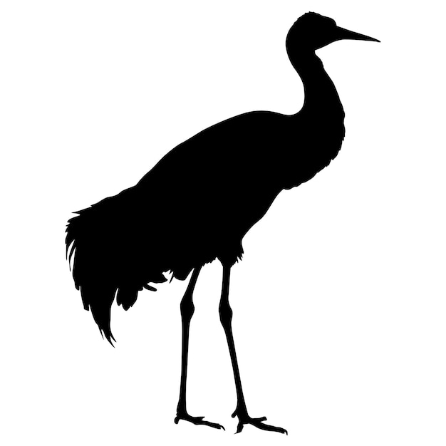 Silhouette d'une grue d'oiseau sur un fond blanc