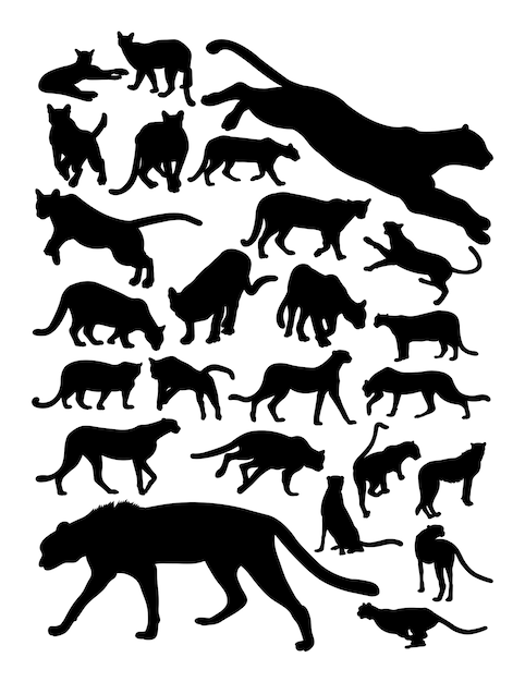 Silhouette Guépard Et Puma